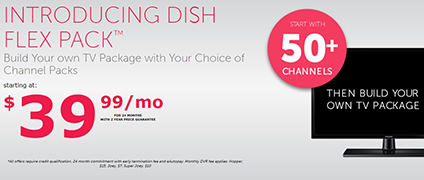 Dish Web Banners